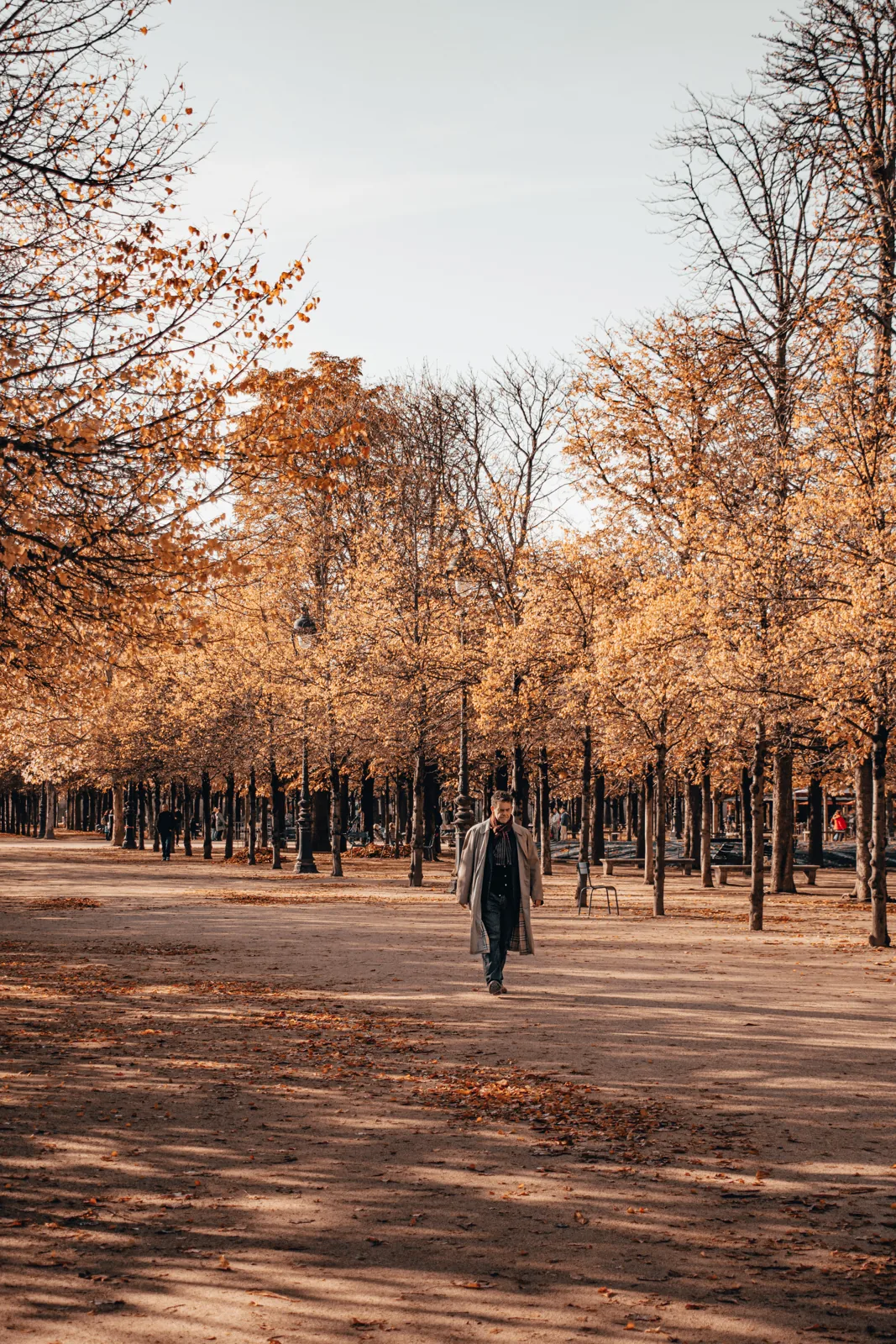 Autumn path