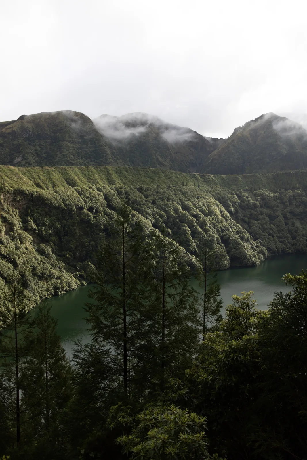 Green hills